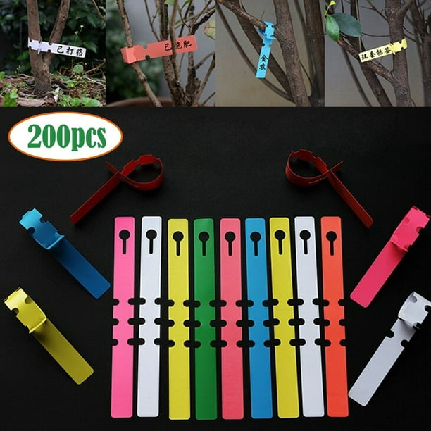 Tools Markers Plant Signs Nursery Pot Hanging Labels Seeding Strip Tags